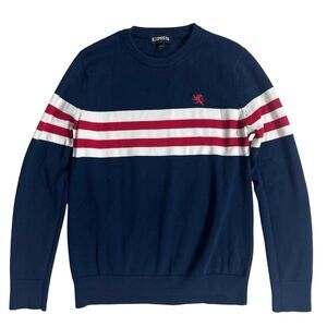 Express Sweater Mens Medium Navy Blue Stripe knit Long Sleeve Crew Neck Pullover